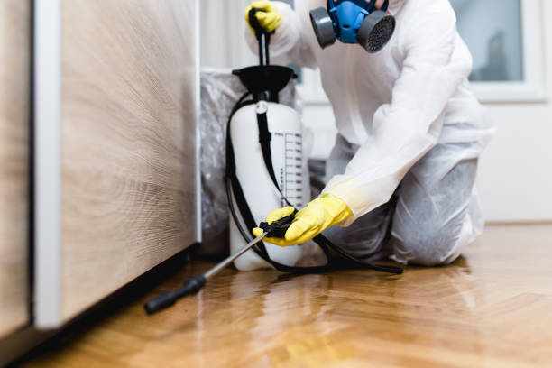Pest Control for Restaurants in Sierra Ridge, CO