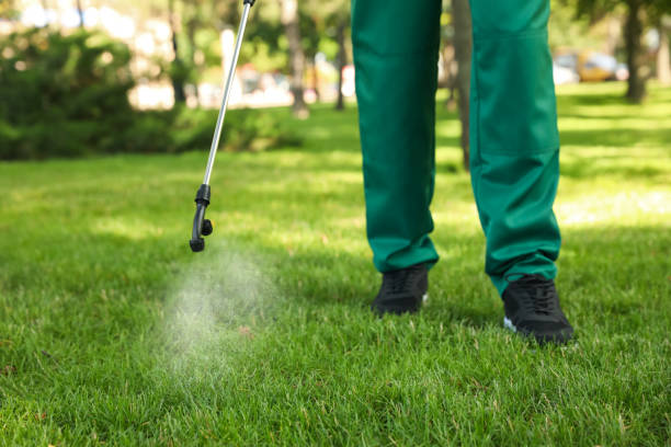 Best Affordable Pest Control Services  in Sierra Ridge, CO