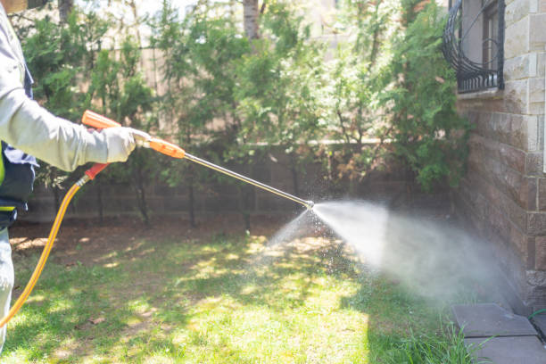 Best Termite Control Services  in Sierra Ridge, CO